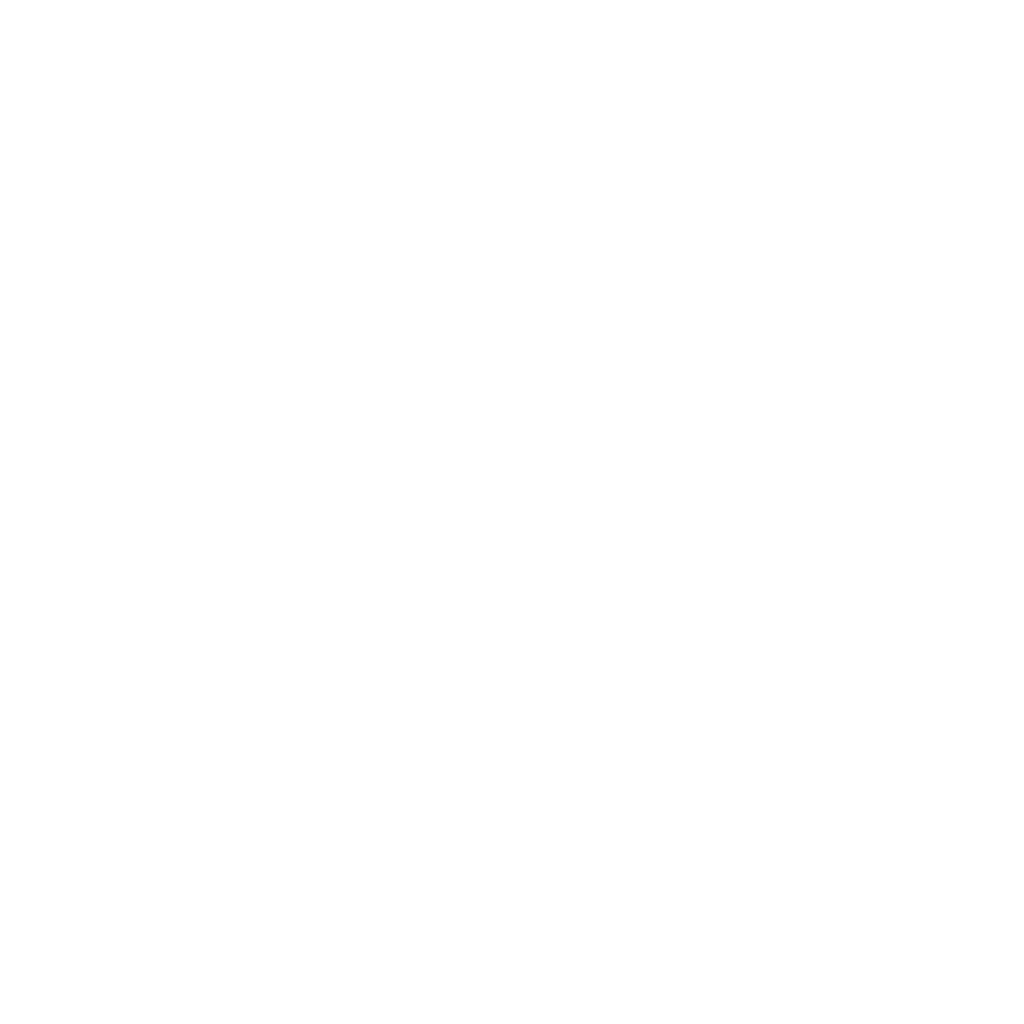 Logo Swissflex