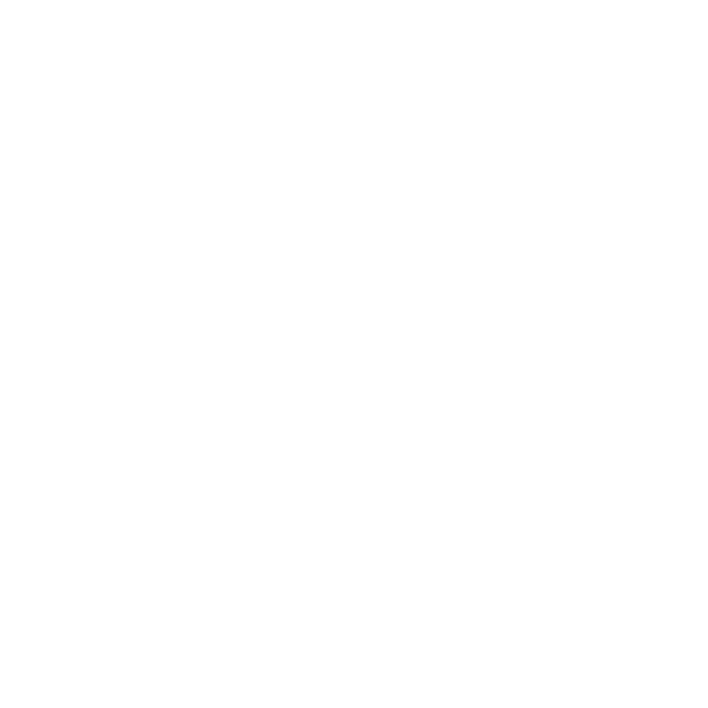Logo Viking